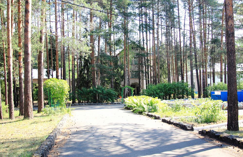 Аллея в сосновом бору санатория