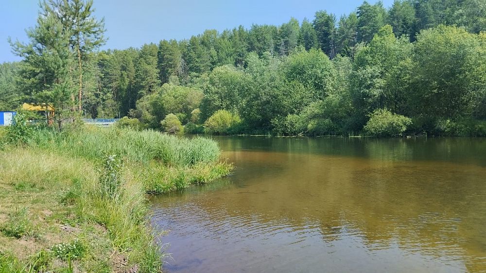 Берег реки летом